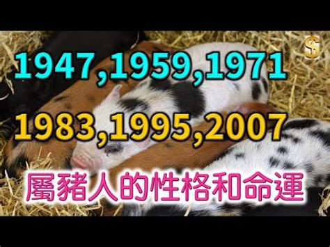 1995 豬|95年五行：你不知道的